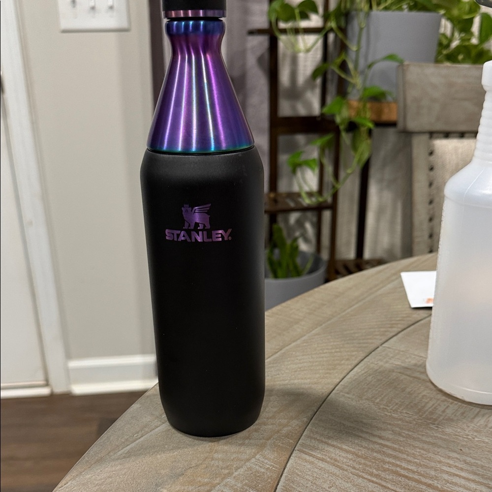 Stanley Iridescent Purple and Black All Day Slim Bottle